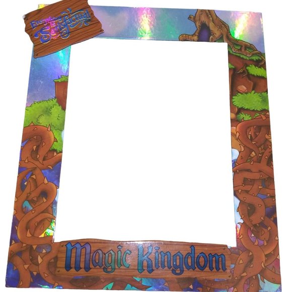 Disney Accents Magic Kingdom Splash Mountain Picture Frame